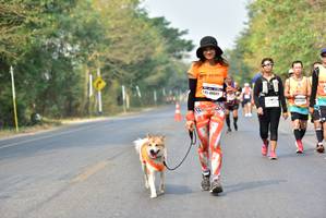 BIB: 40069
                            <button type="button" onclick="openModal(10196302)" class="btn btn-primary btn-sm float-right btn-popup" data-toggle="modal" data-target=".modal-high-quality">
                        <i class="fas fa-shopping-cart"></i> Add to Cart
                    </button>
                                            <button type="button" onclick="isThisMe(10196302, true)" class="btn btn-success btn-sm float-right btn-popup btn-isme hidden" data-toggle="tooltip" data-placement="bottom" title="นี่คือรูปของคุณใช่ไหม คลิกที่นี่เพื่อเอาเข้าอัลบั้ม">
                        <i class="fas fa-plus"></i> Add to album
                    </button>
                    <button type="button" onclick="isThisMe(10196302, false)" class="btn btn-warning btn-sm float-right btn-popup btn-isnotme hidden">
                        <i class="fas fa-ban"></i> Remove from album
                    </button>